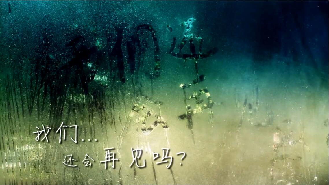 &#27431;&#23453;&#97;&#112;&#112;&#23448;&#26041;&#31471;&#20837;&#21475;&#45;&#27431;&#23453;&#40;&#20013;&#22269;&#41;